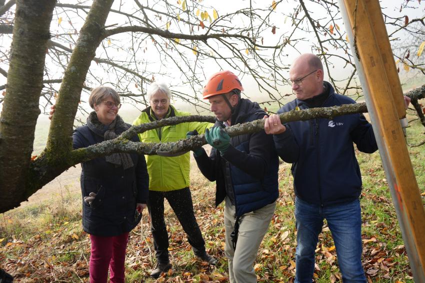 Umweltminister Thorsten Glauber sägt an einem Baumast.