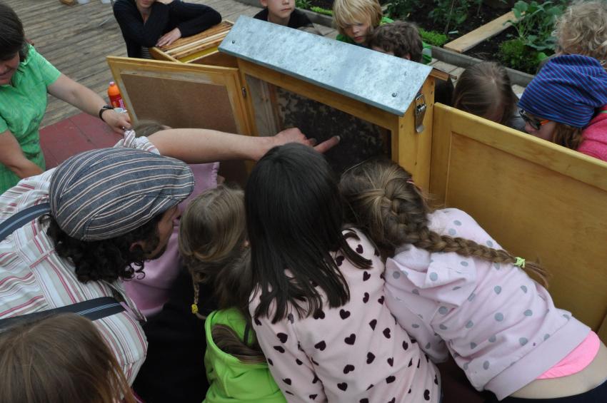 Tage zum Aufwärmen (Urheber: Sebastian Morbach)