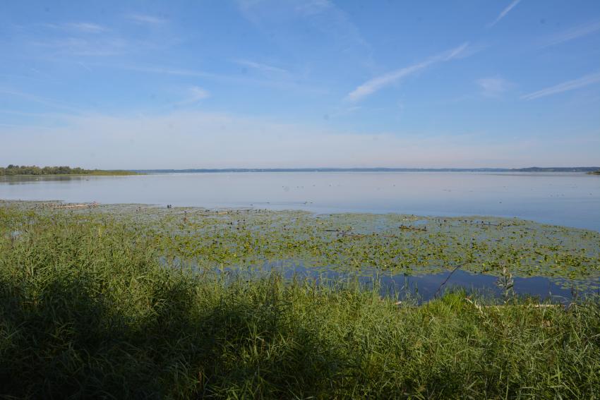 Chiemsee