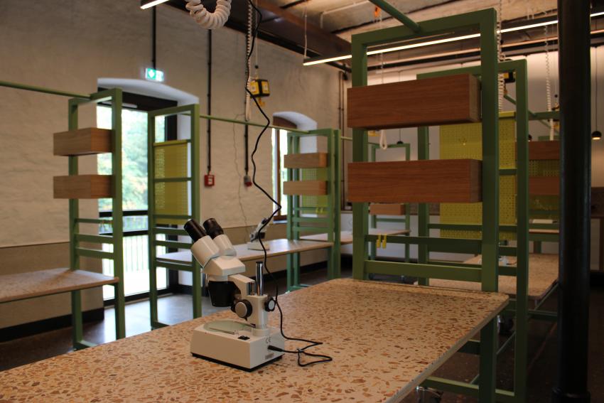 Die Umweltstation Kitzinger Land verfügt über einen eigenen voll ausgestatteten Werkraum für die praktische Bildungsarbeit. (Urheberin: Conny Zubert)
