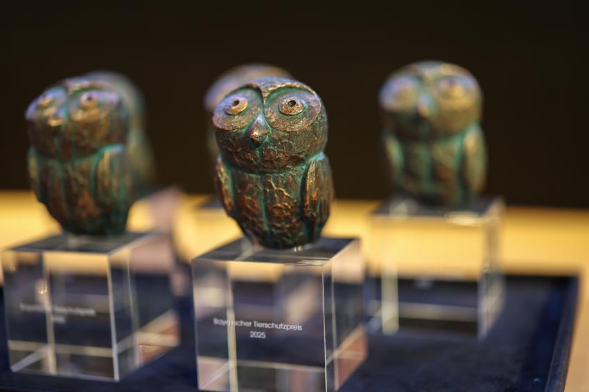 Bayerischen Tierschutzpreises 2025