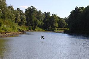 Tulcea Donaudelta