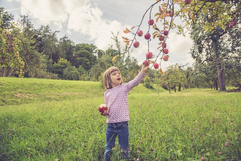 Kind in einer Streuobstwiese © Westend61 