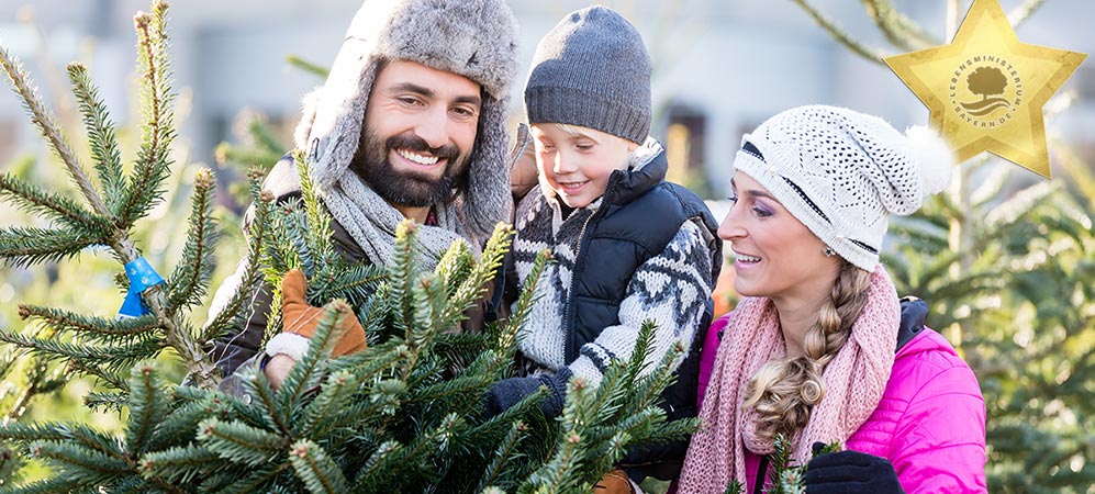 Christbaum kaufen