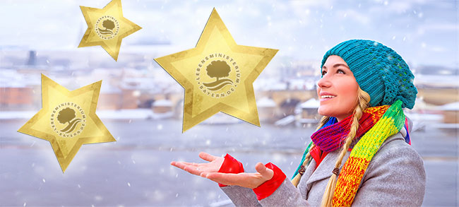 Sammel Weihnachtssterne - das Gewinspiel für eine nachhaltige Adventszeit
