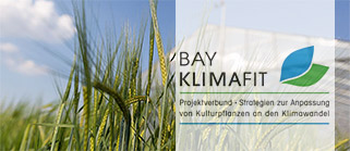 Kulturpflanzen – Anpassung an den Klimawandel (BayKlimaFit)
