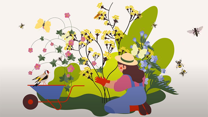Das Bild zeigt eine Frau vor einem Beet, das mit einheimischen Pflanzen bepflanzt wird