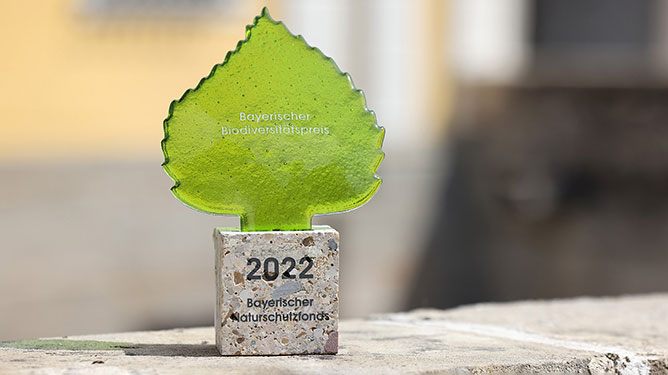 Externer Link zum Youtubevideo 40 Jahre Naturschutzfonds - Das Bild zeigt ein Blatt auf einem Stein, den Bayerischen Naturschutzfonds