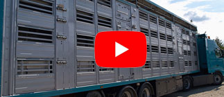 Tiertransporte ins Ausland; Das Bild zeigt einen Tiertransporter