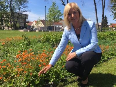 Grünes Herz für Pfaffenhofen an der Ilm Gartenschau eröffnet am 24. Mai