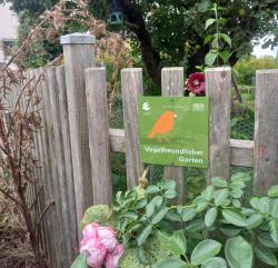 Eine Metallplakette mit einem stilisierten Vogel und der Schrift vogelfreundlicher Garten ist an einem hölzernen Gartenzaun angebracht, an dem entlang eine rosa Rose wächst.