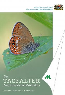 Das Cover des Tagfalter-Bsstimmungsbuches zeigt einen bunten  Schmetterling 