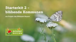 Logo mit Text  Starterkit 2 - blühende Kommune und Blühpakt Bayern sowie der Darstellung zweier Schafgarbeblüten, auf einer sitzt ein schwarz-weiß gemusterter Schmetterling.