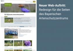 Links ist die Startseite des BayAZ mit Slider und Kacheln zu verschiedenen Themen zu sehen, rechts ein blaues Farbfeld mit dem Text: Neuer Web-Auftritt: Redesign für die Seiten des Bayerischen Artenschutzzentrums