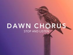 Logo von Dawn Chorus