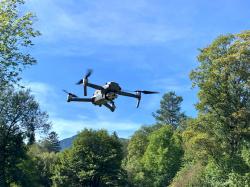 Eine Drohne fliegt in Höhe mehrerer Bäume, im Hintergrund sind Berge.