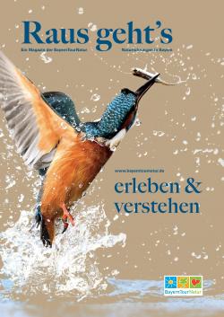 Cover des Magazins zeigt Eisvogel, der Fisch fängt.