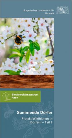 Das Cover zeigt eine Hummel in einem Obstbaum und den Titel des Flyer.