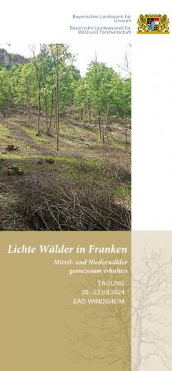 Das Coverfoto zeigt einen lichten Wald.