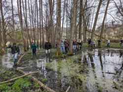 Eine Gruppe watet durch einen überfluteten Wald.