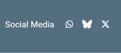 Screenshot der Social-Media-Icons auf der Homepage des LfU.