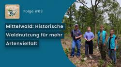 Vorschaubild des Podcast mit Titel und rechts einem Foto von vier Personen im Mittelwald.