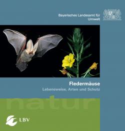 Zeichnung auf Cover der Broschüre zeigt eine Fledermaus mit langen Ohren, die auf die Blüte einer Nachtkerze zufliegt.