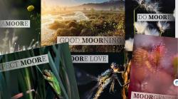 Eine Collage von sechs Postkarten mit verschiedenen Motiven und Satzteile, die das Wort Moor aufgreifen wie Good MOORning.