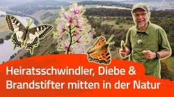 Fotocollage mit im Hintergrund einer Landschaft mit Fluss von oben und darüber zwei Schmetterlinge, ein Mann und eine Pflanze.