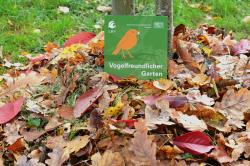 Eine Plakette Vogelfreundlicher Garten lehnt an eine Baumstamm, um den sich Herbstlaub sammelt.