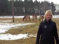 Die Bayerische Umweltministerin Ulrike Scharf hat am Montag, 23. Februar, das bayernweit einzigartige Beweidungsprojekt mit Przewalski-Pferden im Stadtwald Augsburg besucht. Durch den Einsatz der Urwald-Pferde werden die lichten Kiefernwälder, die Heimat zahlreicher gefährdeter Arten wie dem seltenen Kleinen Knabenkraut, erhalten.
