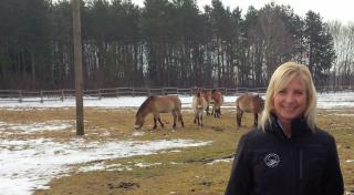 Die Bayerische Umweltministerin Ulrike Scharf hat am Montag, 23. Februar, das bayernweit einzigartige Beweidungsprojekt mit Przewalski-Pferden im Stadtwald Augsburg besucht. Durch den Einsatz der Urwald-Pferde werden die lichten Kiefernwälder, die Heimat zahlreicher gefährdeter Arten wie dem seltenen Kleinen Knabenkraut, erhalten.