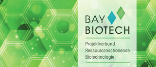 Logo von BayBiotech in Schriftform mit zwei Rauten, einmal in grün und einmal in blau. Hinter dem Logo sieht man ein wabenförmiges Muster in grüner Farbe mit Blasen.