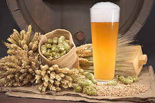 Bierglas und Bierfass mit Weizen Gerste Hopfen Malz