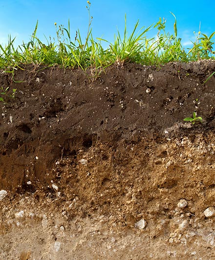Bodenschutz, Bodenfunktion - das Bild zeigt einen Bodenaufbau als vertikalen Schnitt