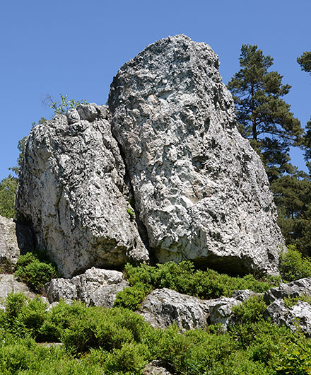 Das Bild zeigt einen Felsen