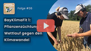 Das Bild zeigt das Folge #36 Pflanzenzüchtung – Wettlauf gegen den Klimawandel YouTube Thumbnail