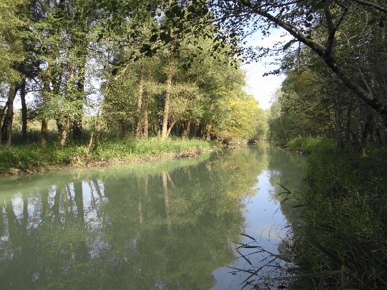 Das Bild zeigt eine Auen und Flusslandschaft