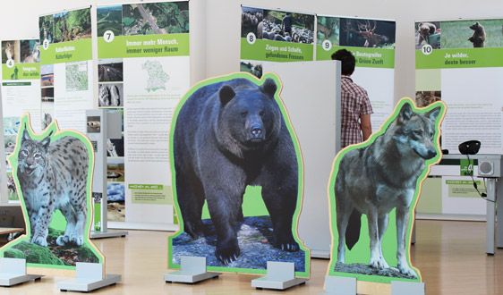 Ausstellungstafeln der Wanderausstellung Die großen Vier