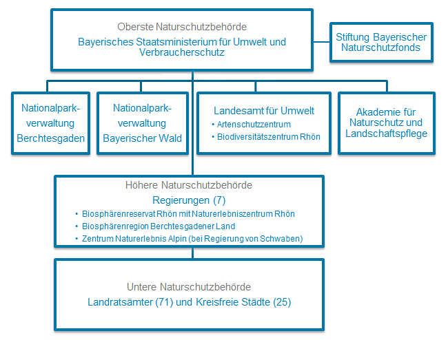 Graphische Darstellung der Behördenstruktur im Bereich des staatlichen Naturschutzes in Bayern; Erläuterung siehe vorangehender Text