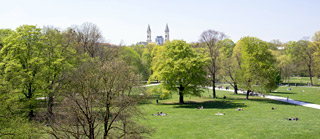 Natur in der Stadt