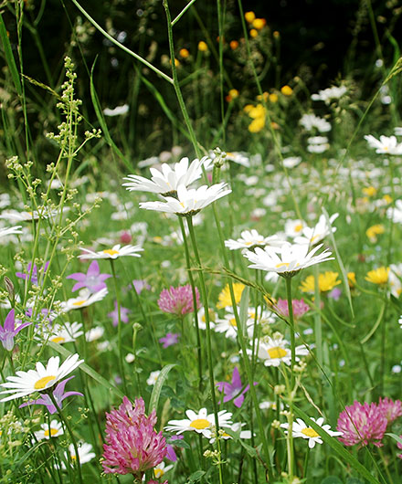 Naturvielfalt in Bayern