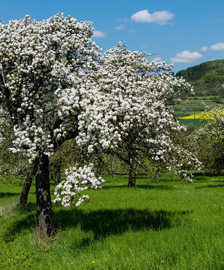 Förderung im Naturschutz