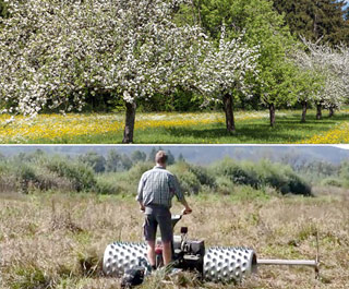 Geteiltes Bild. Oben: Blühende Bäume einer Streuobstwiese. Unten: Mann auf einem Balkenmäher in einem Moorgebiet.