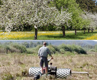 Vertragsnaturschutz