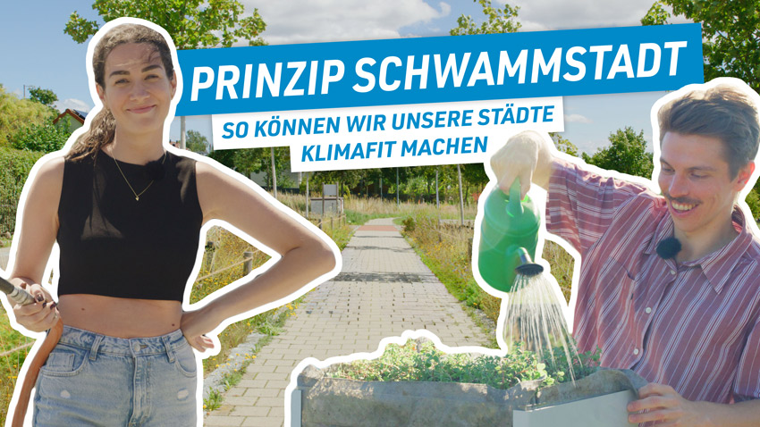 Titelbild des Videos