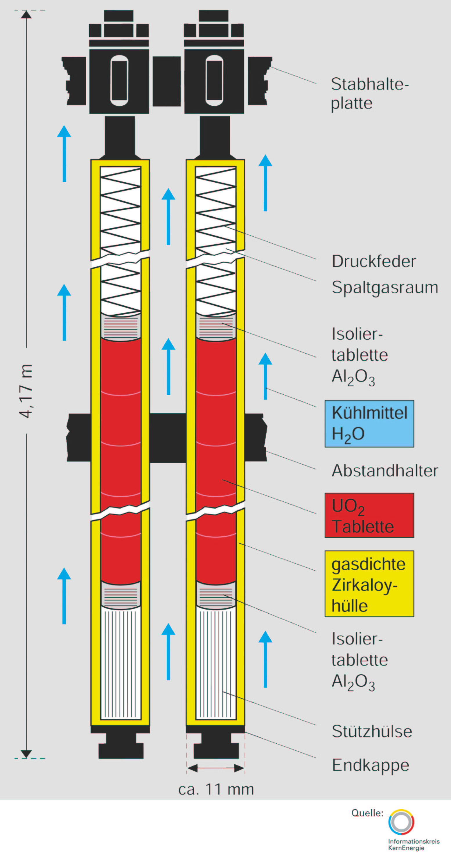 Abbildung wird im u.a. Text beschrieben