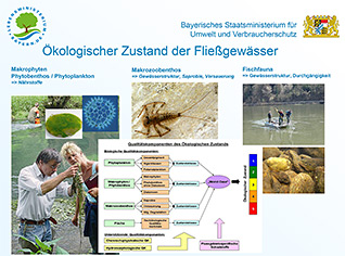 Ökologischer Zustand der Fließgewässer